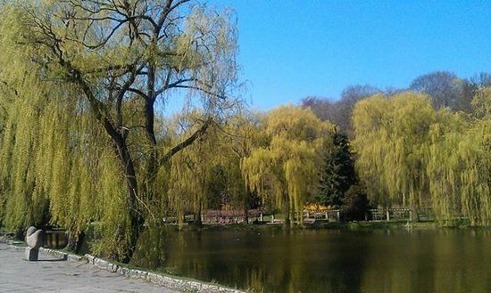 Wycieczki rowerowe